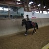 Ponyralley 141